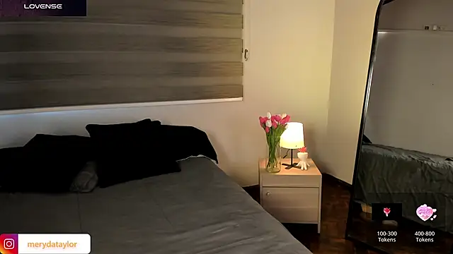 Snapshot of MERIDA_TAYLOR chatting on 28, 2, 2026 MERIDA TAYLOR online show from 28, 2, 2026