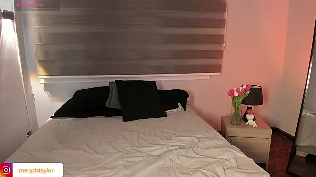 Snapshot of MERIDA_TAYLOR chatting on 11, 3, 2026 MERIDA TAYLOR online show from 11, 3, 2026