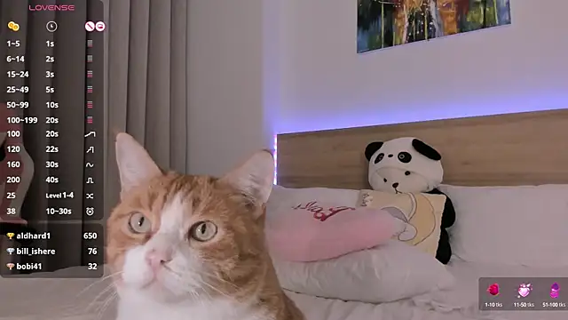 Snapshot of Lenstardi chatting on 15, 2, 2025 Lenstardi online show from 15, 2, 2025