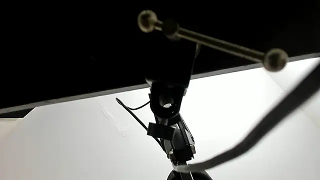 sarita loven online show from 20, 2, 2026