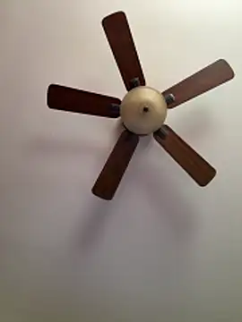 QueenNuttCollector online show from 27, 3, 2026