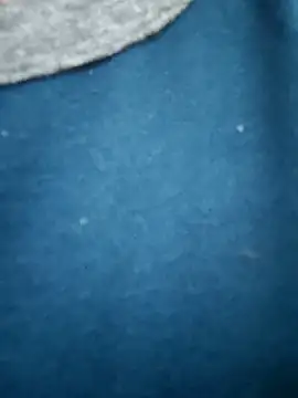 Snapshot of Bangalorebull chatting on 17, 10, 2025 Bangalorebull online show from 17, 10, 2025