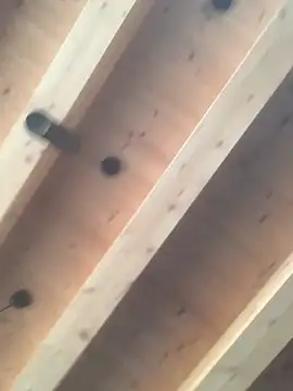 Fellix online show from 11, 12, 2024