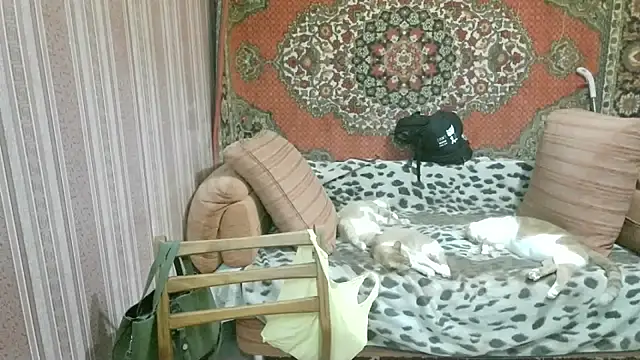 Kathlyn  Heath online show from 18, 2, 2026