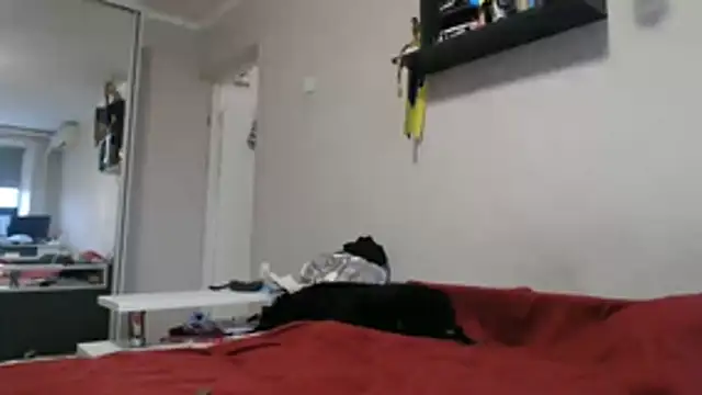 delightful sofi online show from 11, 11, 2025