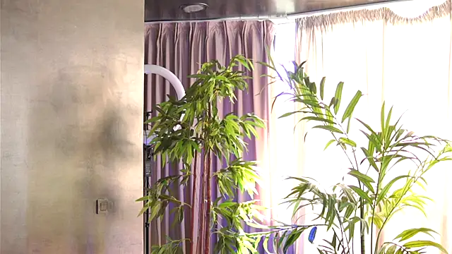 HotSkinnyX online show from 11, 10, 2025