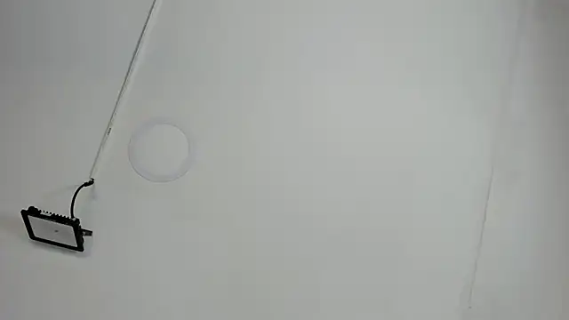 CeliWoods online show from 12, 10, 2025