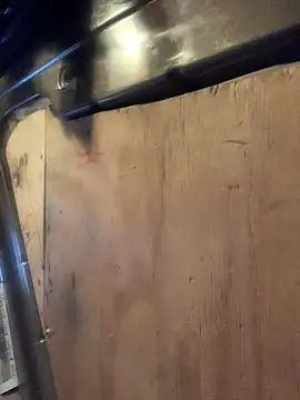 Likewise online show from 6, 2, 2026