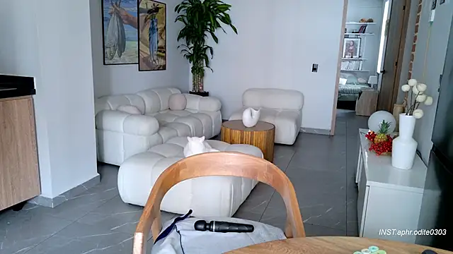 Nikol-JE online show from 25, 2, 2026