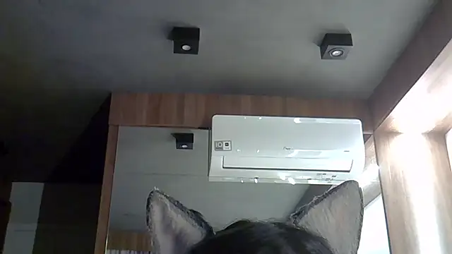 Snapshot of Skinny-Kitten chatting on 30, 9, 2025 Skinny-Kitten online show from 30, 9, 2025