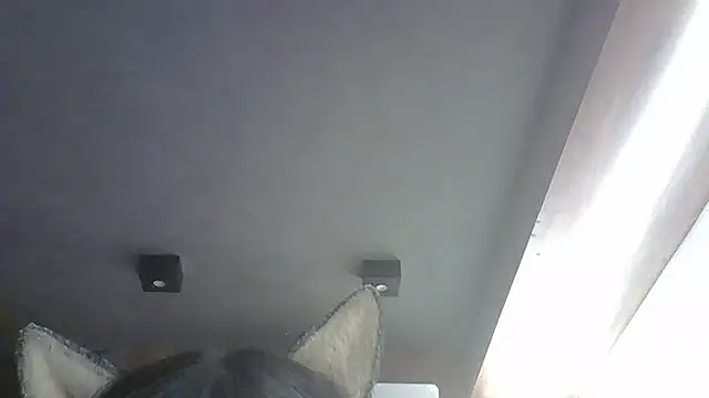 Skinny-Kitten online show from 19, 1, 2026