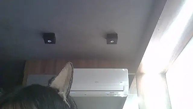 Skinny-Kitten online show from 17, 2, 2026