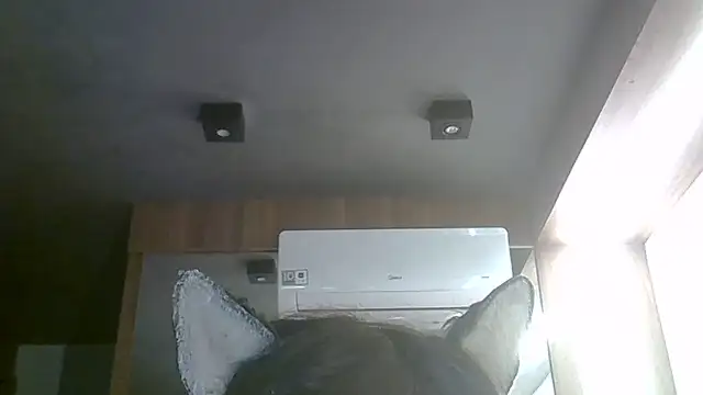 Skinny-Kitten online show from 1, 6, 2026