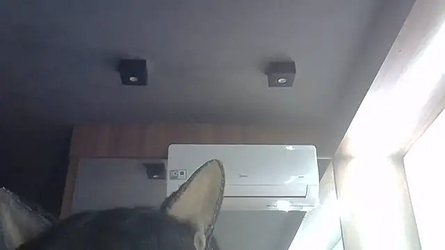 Snapshot of Skinny-Kitten chatting on 28, 6, 2026 Skinny-Kitten online show from 28, 6, 2026