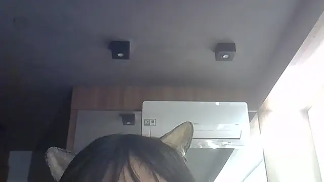 Snapshot of Skinny-Kitten chatting on 7, 7, 2026 Skinny-Kitten online show from 7, 7, 2026