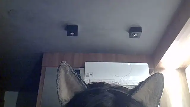 Snapshot of Skinny-Kitten chatting on 12, 7, 2026 Skinny-Kitten online show from 12, 7, 2026