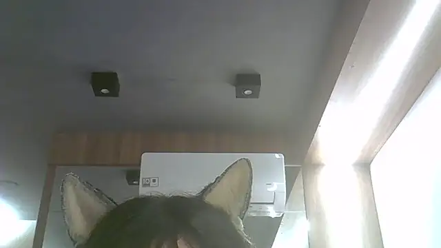 Snapshot of Skinny-Kitten chatting on 17, 7, 2026 Skinny-Kitten online show from 17, 7, 2026