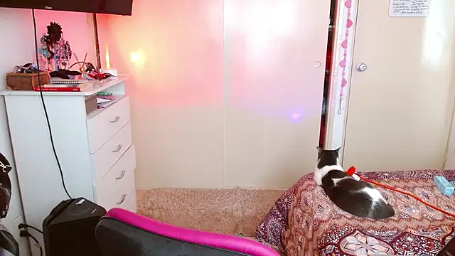 alisseallie online show from 21, 3, 2026