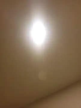 Snapshot of lofibunni chatting on 14, 2, 2026 lofibunni online show from 14, 2, 2026