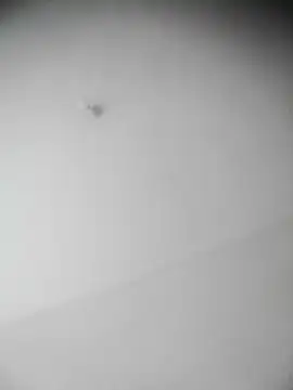 bestofyalcinturkey online show from 3, 12, 2024