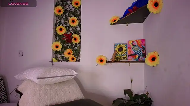 kisstarxxx online show from 19, 2, 2026