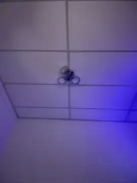 Charly  online show from 16, 11, 2025