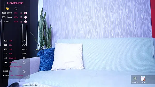 wild col  online show from 17, 4, 2026