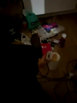 la chiennete online show from 1, 12, 2025