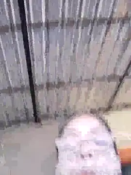 Delicy1 online show from 25, 4, 2026