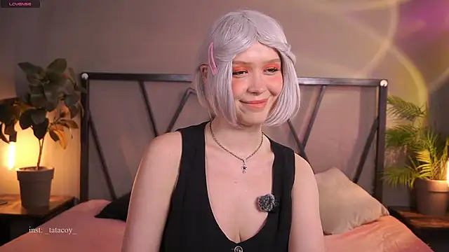 TataCoy online show from 7, 3, 2026