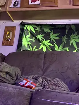 bugboy online show from 26, 4, 2026