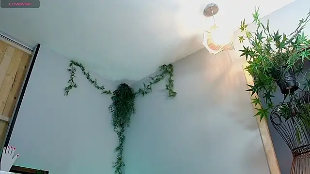 VickyJackson  online show from 21, 1, 2025