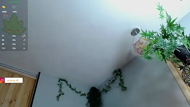 VickyJackson  online show from 27, 1, 2025