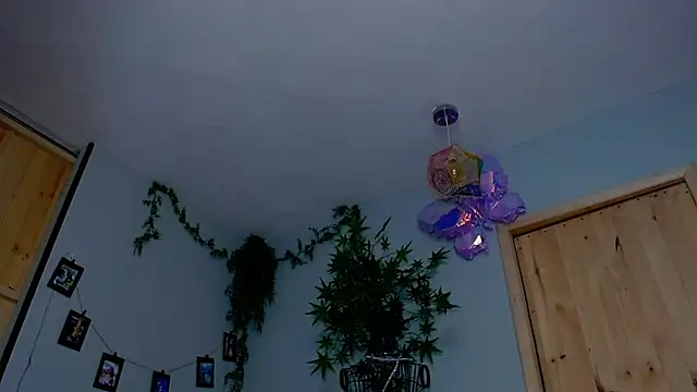 VickyJackson  online show from 19, 11, 2025