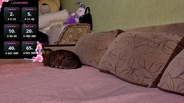 Miss Flexi fit online show from 30, 11, 2025