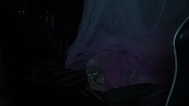 -AyeshaSinghania- online show from 18, 11, 2025