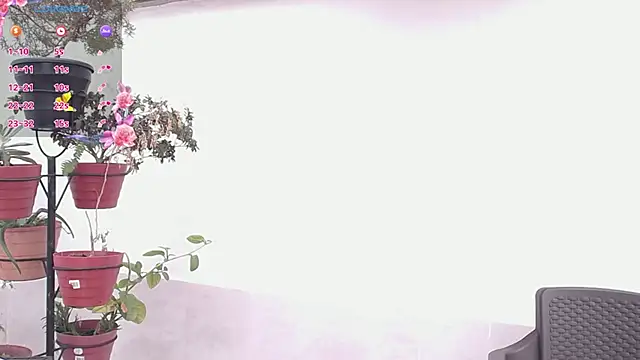 darshajaya online show from 17, 3, 2026