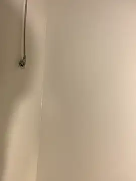 Aania online show from 1, 11, 2025