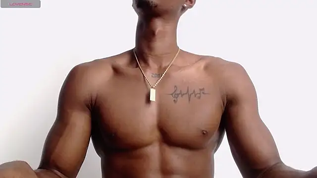 drake brwon 23 online show from 19, 10, 2025