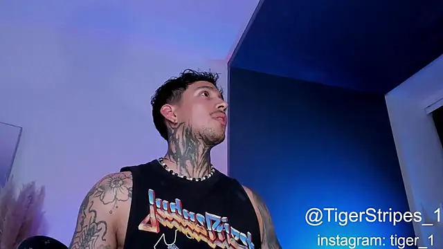 Snapshot of TigerStripes1_ chatting on 1, 2, 2025 TigerStripes1 online show from 1, 2, 2025