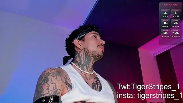 Snapshot of TigerStripes1_ chatting on 11, 3, 2025 TigerStripes1 online show from 11, 3, 2025