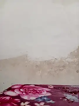 09punjabi online show from 19, 12, 2024