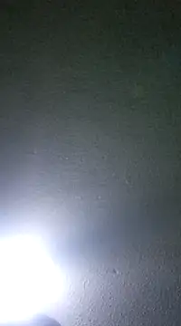 Snapshot of Elcogetuquieres chatting on 8, 1, 2025 Elcogetuquieres online show from 8, 1, 2025