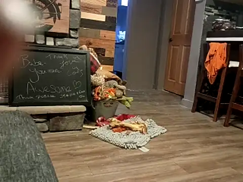 Donglong80 online show from 25, 11, 2025