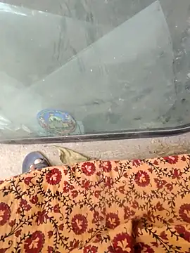 Kolkata   Boy online show from 18, 2, 2025